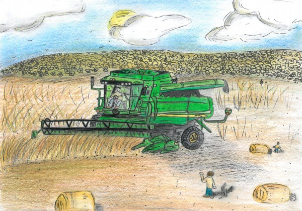 Concurso regional ASAJA pintura y fotografia