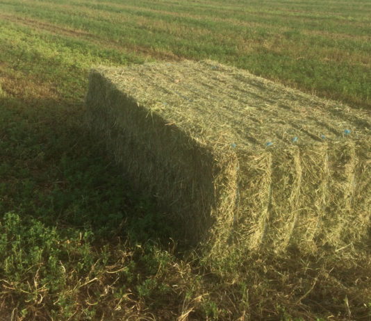 Convocadas las primas de mantenimiento y de compensación de tierras agrícolas Paquete paja