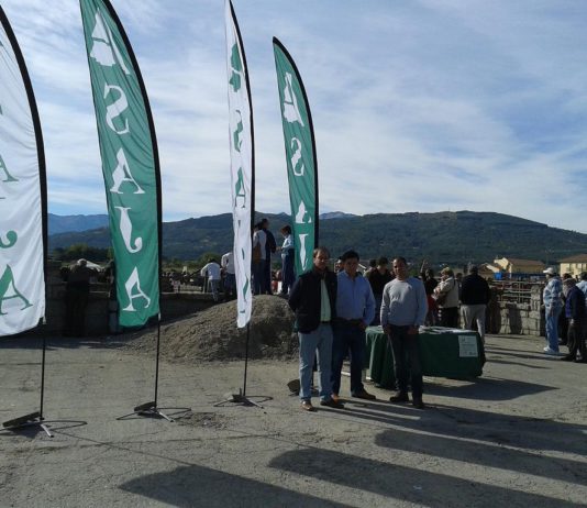ASAJA plantea un plan de acción para la ganadería de montaña de Ávila que incluya el saneamiento ganadero
