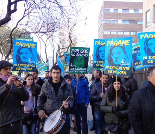 Agricultores y ganaderos abulenses se manifiestan contra el abandono institucional del sector