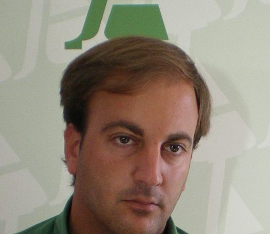 Caminando se hace camino