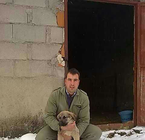 ASAJA-Ávila instalará pastores eléctricos para proteger el ganado