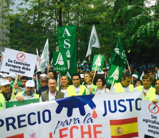 ASAJA de Ávila, en defensa de los ganaderos de leche también en Bruselas
