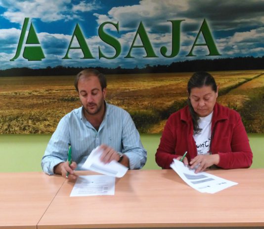 CONVENIO ENTRE ASAJA Y DOWN ÁVILA