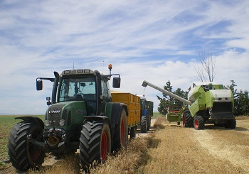 ASAJA-Ávila lamenta que el agricultor ingrese menos por el cereal mientras el ganadero paga el pienso a precio de oro