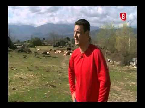 Campo Abulense 18/4/2013