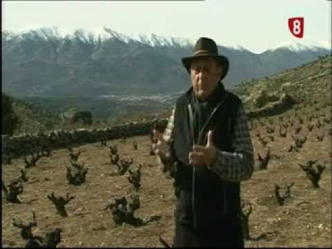 Campo Abulense 21/3/2013