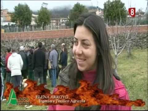 Campo Abulense 4/4/2013