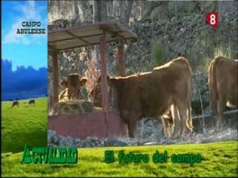 Campo Abulense 21/02/2013