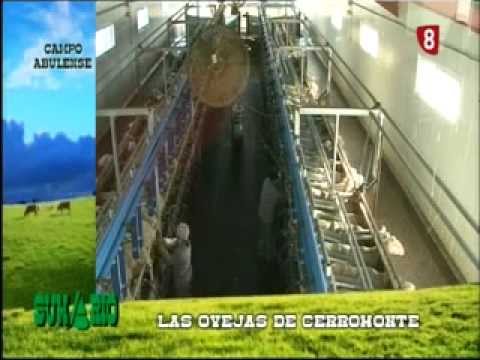 Campo Abulense 07/02/2013