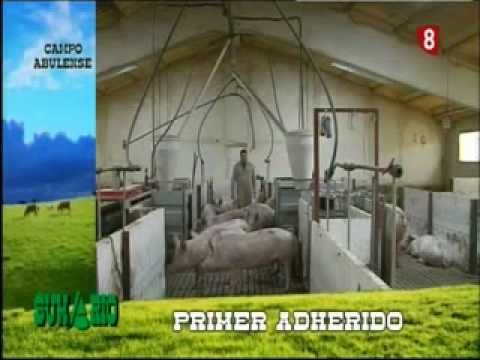 Campo Abulense 24/01/2013