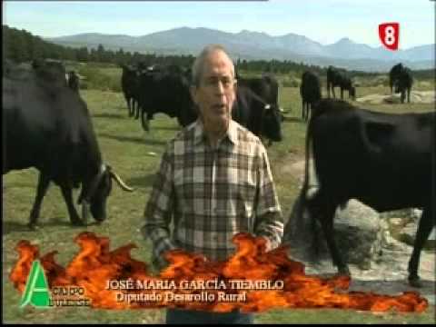 Campo Abulense 27/12/2012