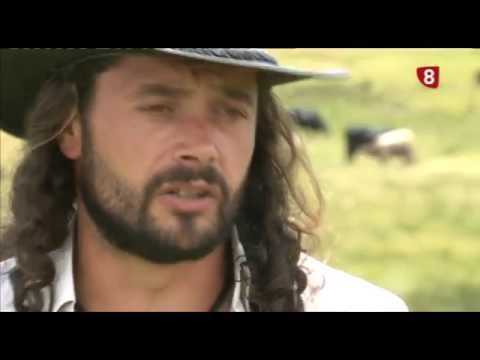 Campo Abulense 14/07/2016