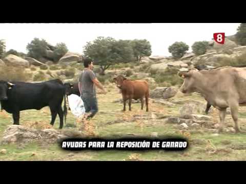 CAMPO ABULENSE 22/10/2015 (2)