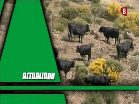 Campo Abulense 26/3/2015