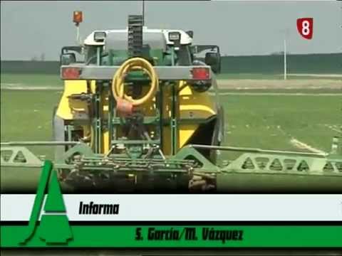 Campo Abulense 29/1/2015