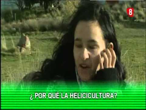 Campo Abulense 15/1/2015 Parte I