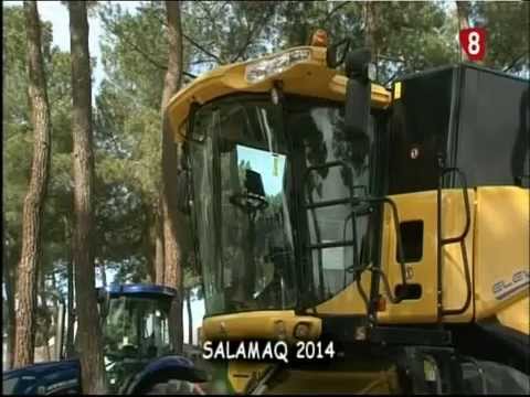 Campo Abulense 4/9/2014