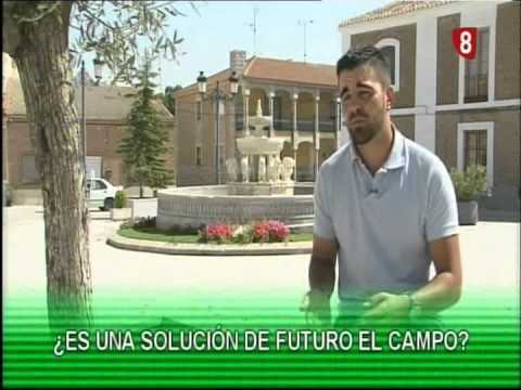 Campo Abulense 24/7/2014