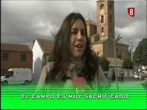 Campo abulense 3/4/2014