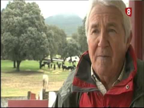 Campo Abulense 20/2/2014