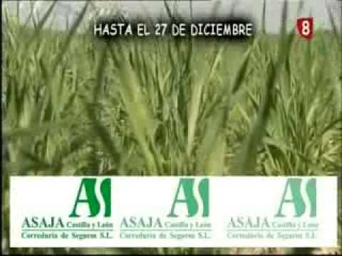 Campo Abulense 12/12/2013