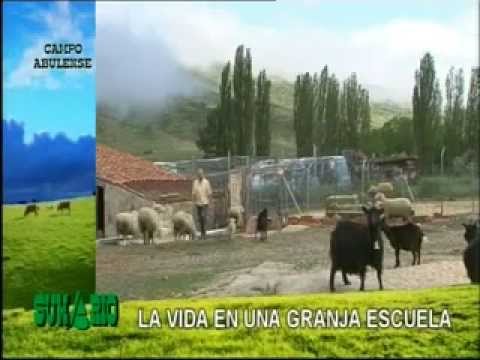 Campo Abulense 27/6/2013