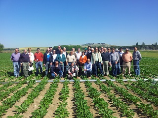 ASAJA-Ávila exige que la futura PAC incluya el mantenimiento del actual sistema de cuotas del azúcar