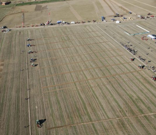 El XXXVIII Campeonato nacional de arada congrega en Salobral a más de 10.000 personas