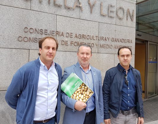 ASAJA LAMENTA QUE AÚN NO HAYA RESPALDO SUFICIENTE PARA QUE CUAJE LA INTERPROFESIONAL DE LA PATATA EN CASTILLA Y LEÓN