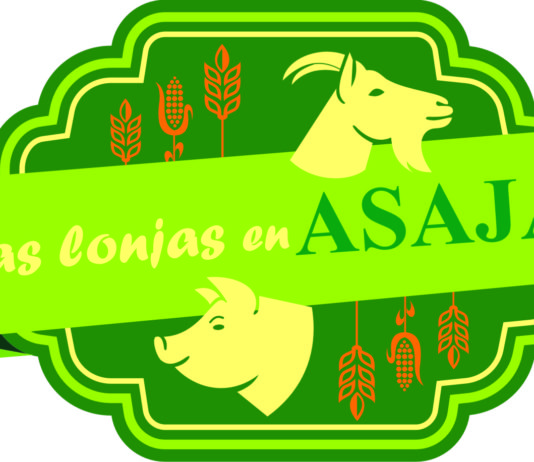 Las lonjas, semana del 29 de enero Lonja semana