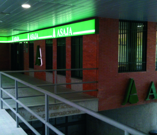 Campo abulense 25 de enero de 2018