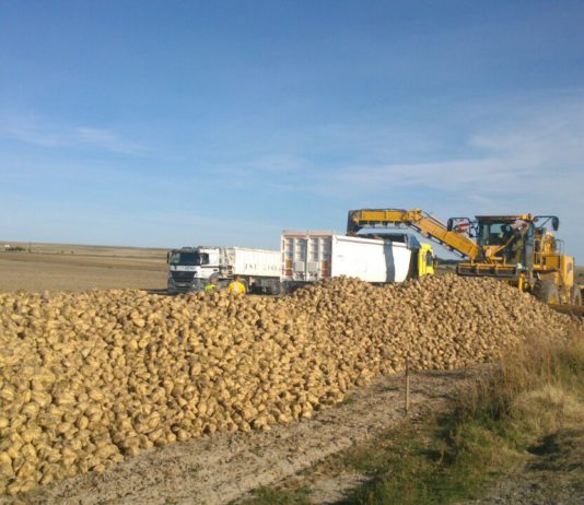 Solo los socios de ASAJA han cobrado los recursos de los 3€/tonelada de la remolacha