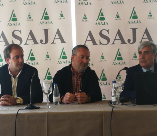 Jornada de Juan José Badiola