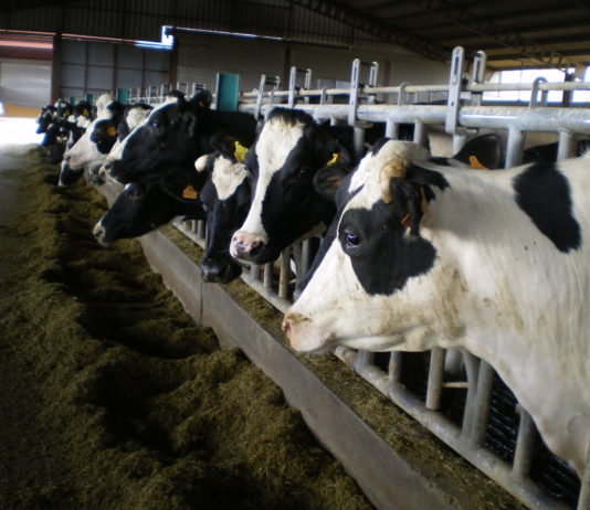 La Comisión Europea propone ampliar en 10.000 euros el techo de ayudas “de minimis” a las granjas