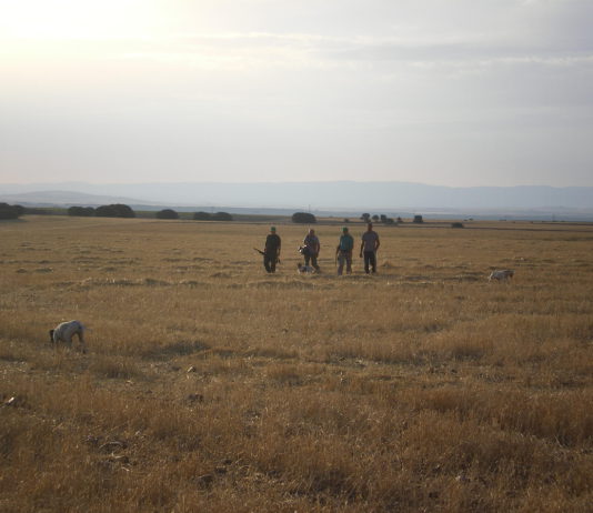 ASAJA-Ávila apuesta por la coexistencia entre cazadores, agricultores y ganaderos