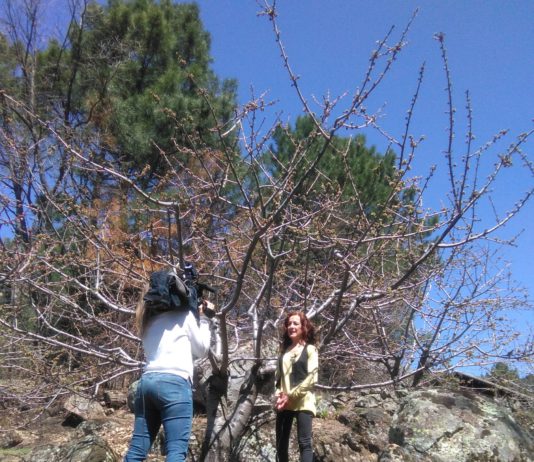 Campo Abulense 19 de abril de 2018