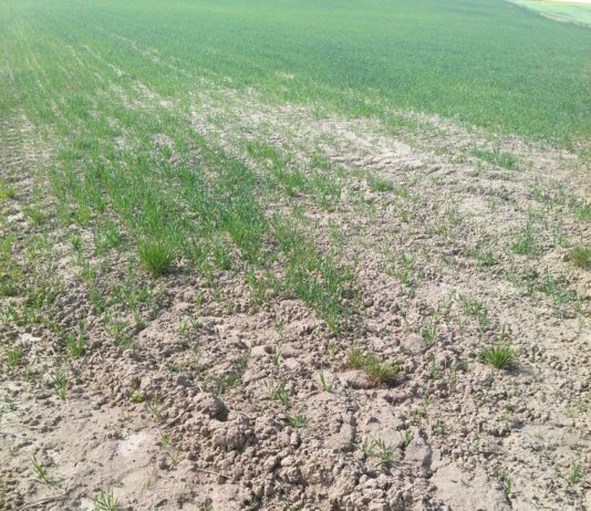 Valoramos positivamente la revisión de módulos fiscales agrarios publicada en el BOE