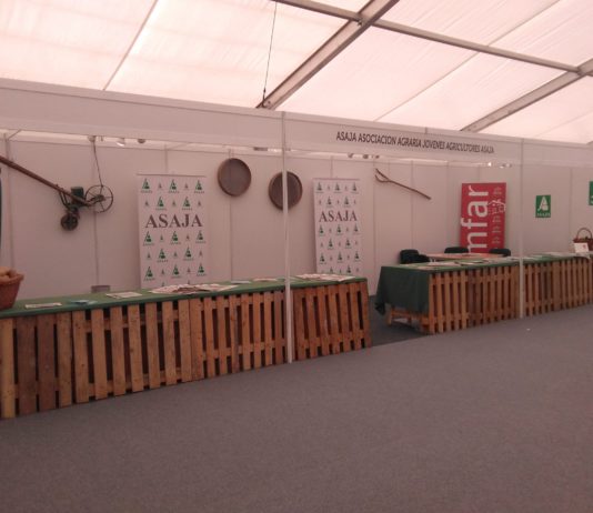 Feria de muestras de Arévalo 2018