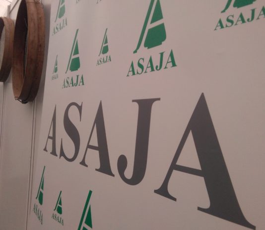 Campo Abulense 26 de julio de 2018