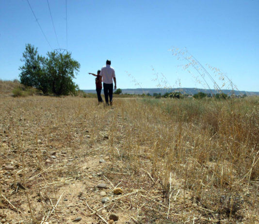 Reunión de ASAJA con el Secretario de Estado de Infraestructuras para buscar soluciones a los daños por conejos