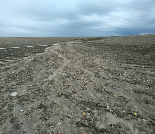 Comienzan a recibirse partes por granizo, por lo que el seguro es esencial.
