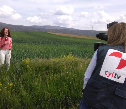 Campo Abulense 31 de mayo de 2018
