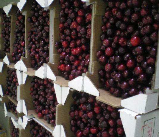 En marcha el Comité Asesor Agroalimentario