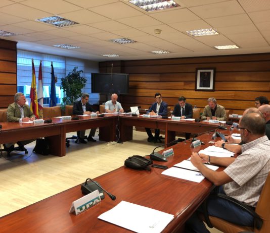 La Orden Anual de Caza flexibiliza la captura del conejo