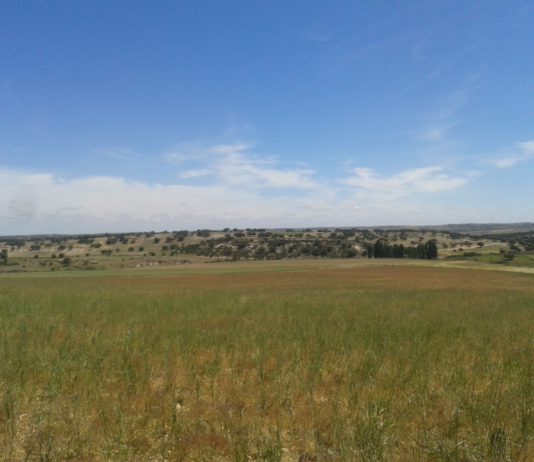 ASAJA valora la voluntad política de actuar sobre las enfermedades de las especies cinegéticas para avanzar en la sanidad animal y la salud humana