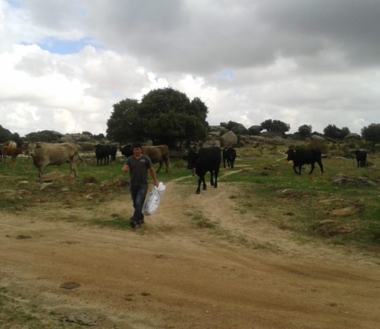ASAJA pide que los agricultores, en su condición de autónomos, puedan seguir eligiendo libremente su base de cotización a la seguridad social