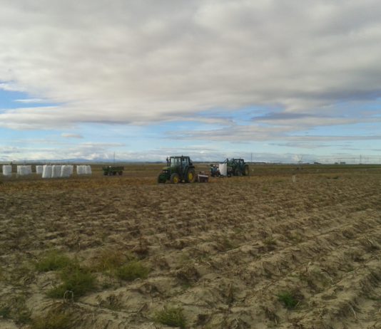 Campo Abulense 20 de septiembre de 2018