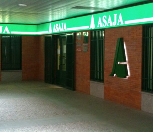 A partir del 1 de octubre, los trámites de los autónomos con la SS serán vía electrónica