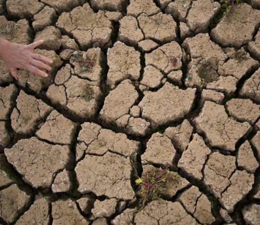 Malas prácticas bancarias también con los préstamos de la sequía